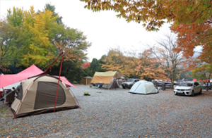 Why, Gurye Auto Camping Site 이미지2